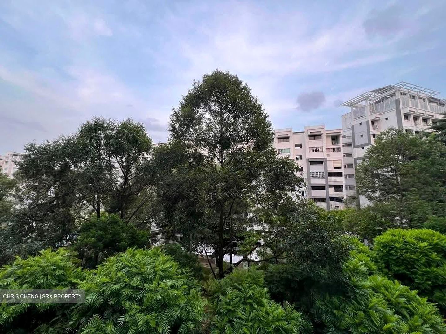 Blk 656 Woodlands Ring Road (Woodlands), HDB Executive #623807301